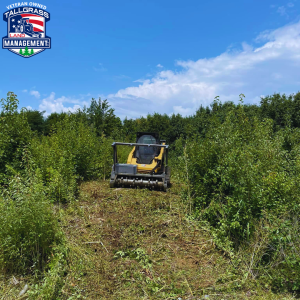 Mulching with the Skid Steer
